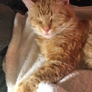 Meet your Posher, Miriam